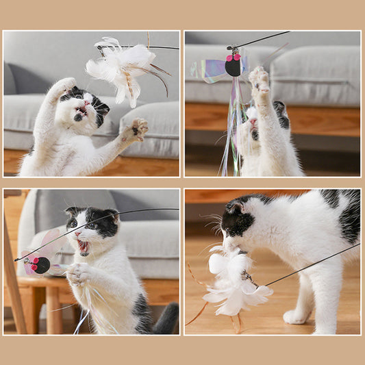 2 in 1 Detachable Interactive Feather Teasing Cat Toy